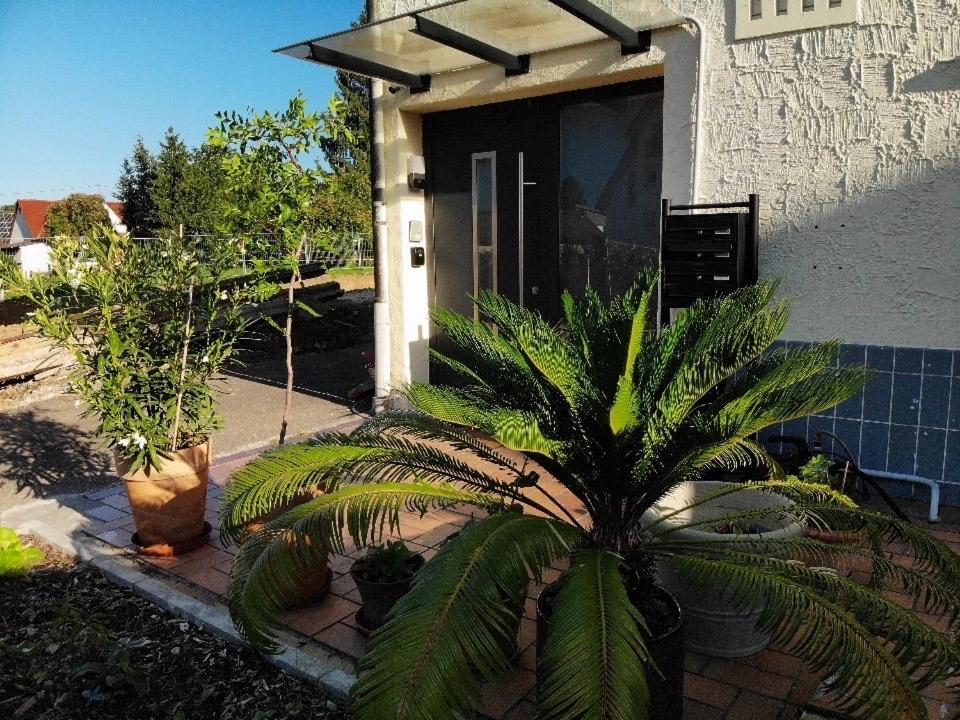 Sonnige 3 Zimmer Wohnung Mit Schoenem Balkon Im Gruenen Reutlingen Esterno foto